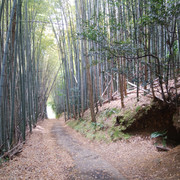 DSC-0004