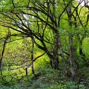 IMG-20240923-160909