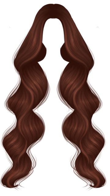Brown Hair PNG