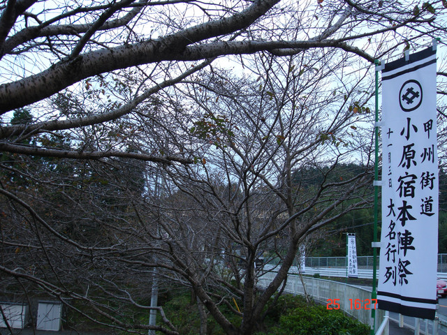 2008-10-25-151