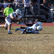 IMG-4151