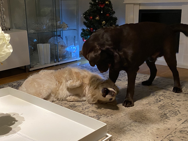 6-E7-F05-A1-60-CA-49-C6-BA8-E-CE4-C19-D1