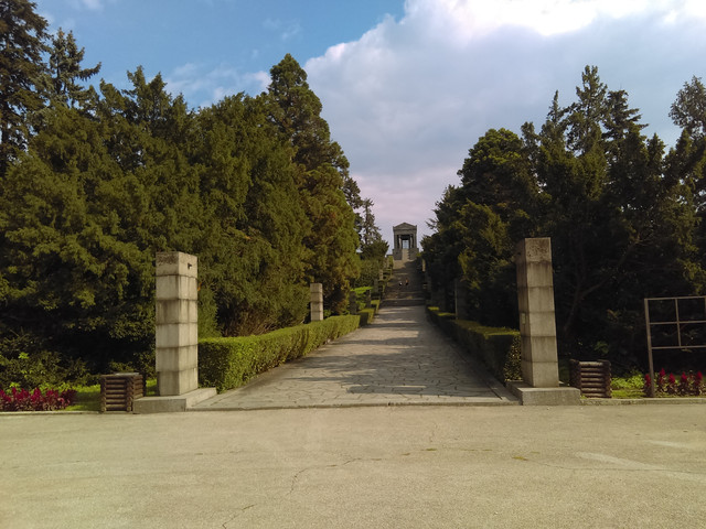 IMAG7935