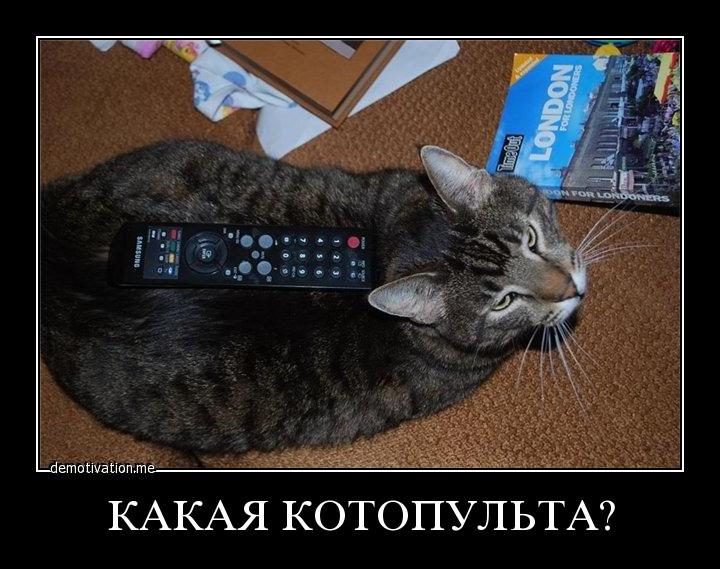 95.jpg
