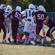 IMG-4451