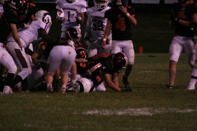IMG-7719.jpg