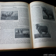 IMG-5390