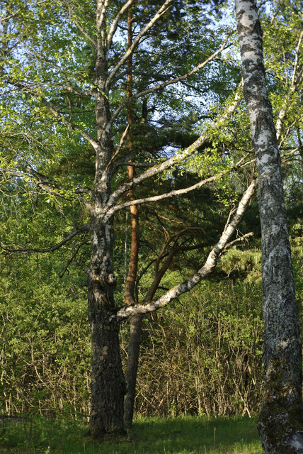 DSC3543.jpg