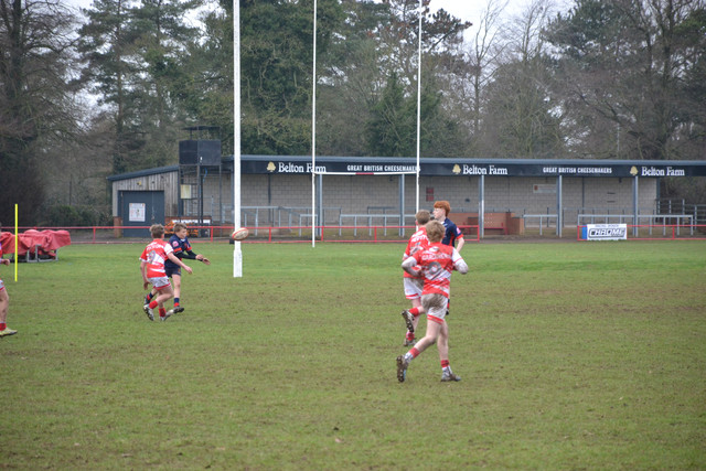 DSC 1453.jpg