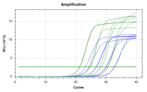 qPCR 증폭 곡선