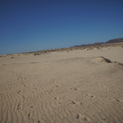 DSC01169