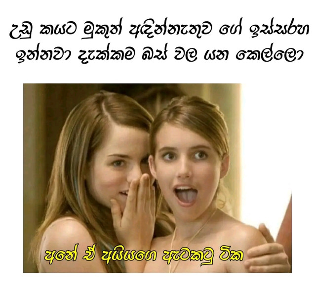 1695215491786.jpg