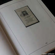 IMG-2146