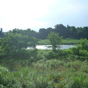 P1320888
