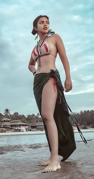 [Image: images-2023-07-26-T131743-212.jpg]