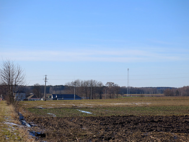 IMG-3364