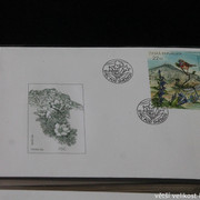 IMG-2704