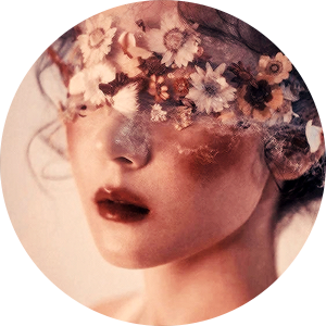 ww-icon.png
