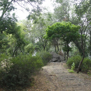 2a03772m