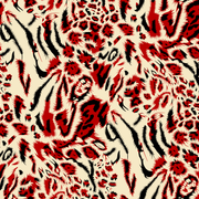 a584e5b1d8acee19074b2f756066cb35