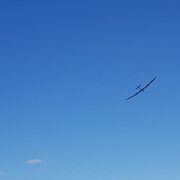 20260809 164151