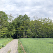IMG 2367