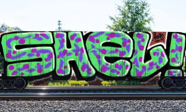 Graffiti artwork by Shel