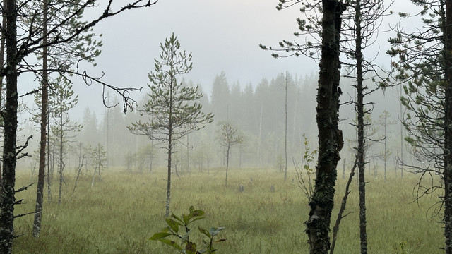 IMG 4833.jpg