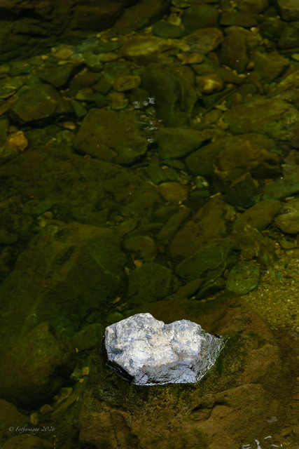 DSF6596.jpg