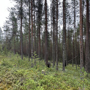 IMG 5766