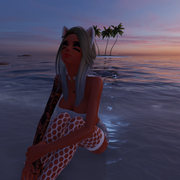 Screenshot (955)