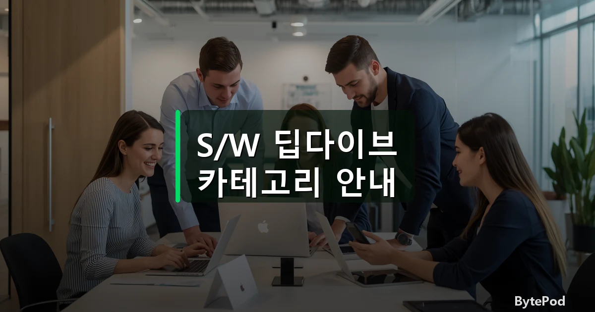 S/W 딥다이브 카테고리 안내
