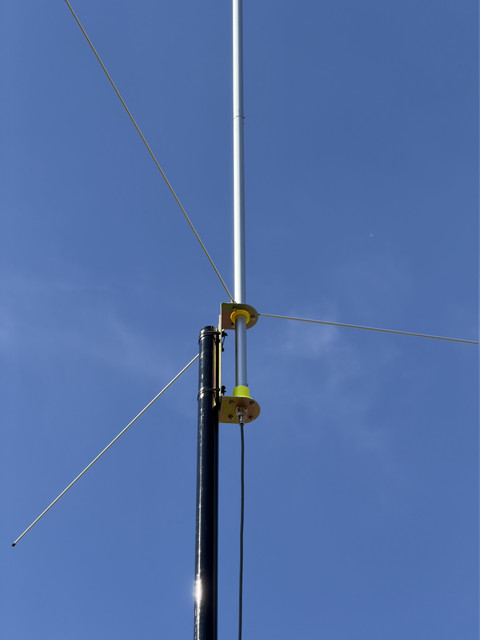 IMG 4301.jpg