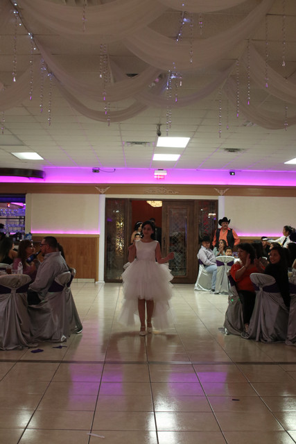 IMG-3462