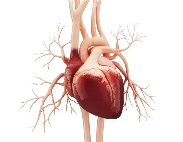 Heart Benefits Found in Skin Lupus Treatment