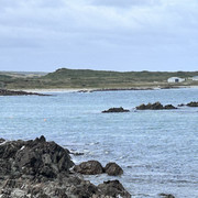IMG 2945