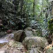 Gunung Lambak2