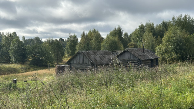 IMG 5302.jpg