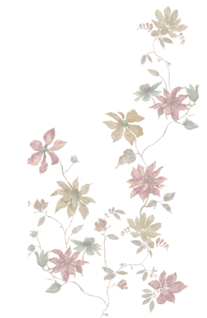 2515.png