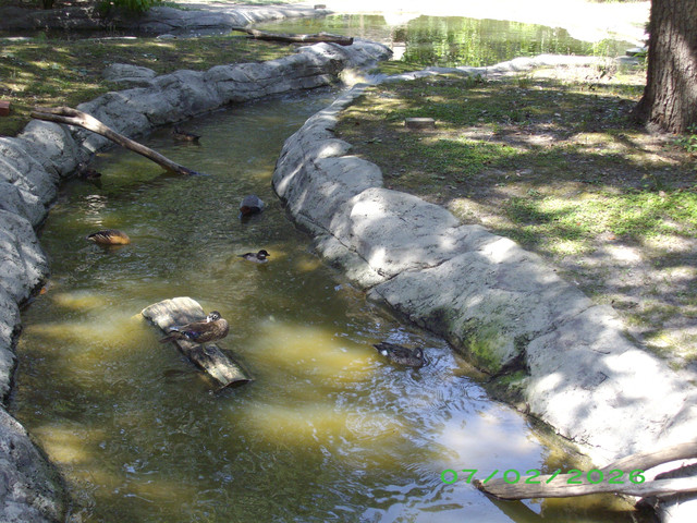 IMGP2781.jpg