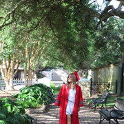 IMG 7502