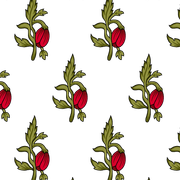 427