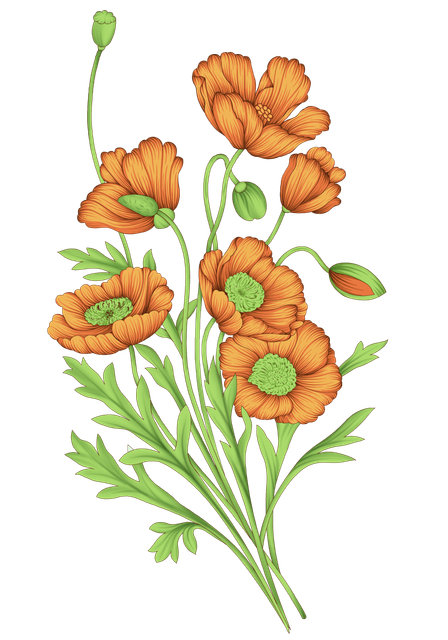 c9f024bc221d8e523aabfe171f165bdd.png
