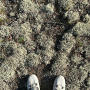 IMG 5413