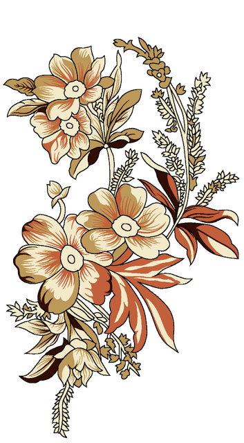 015ef4477aca550d201d728d15ceaf1f.png
