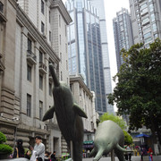 DSC09499