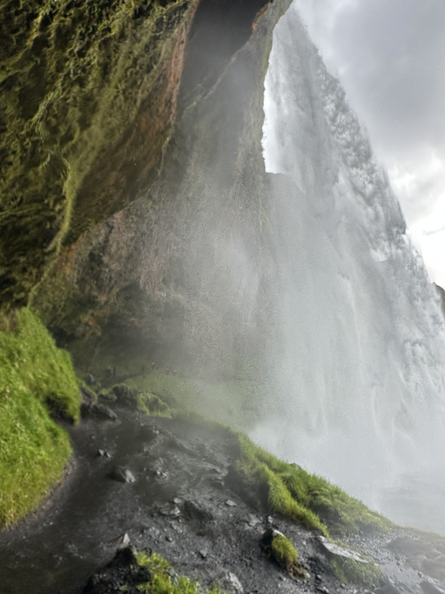IMG-6263