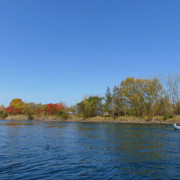 DSC07146