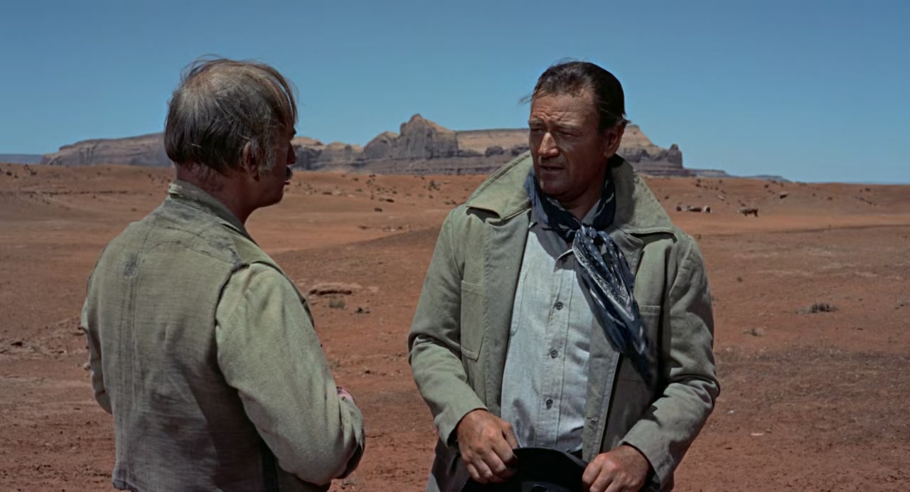 The Searchers Screenshot