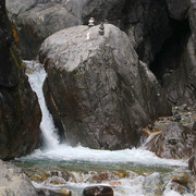 IMG 0299